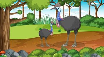 Two cassowaries birds in forest or tropical forest at daytime scene vector