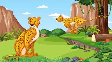 Cheetah in forest or rainforest at daytime scene vector