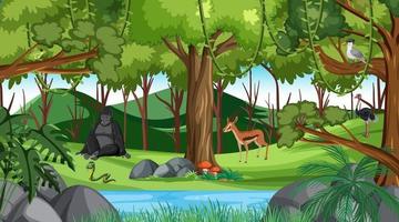 bosque en escena diurna con diferentes animales salvajes. vector