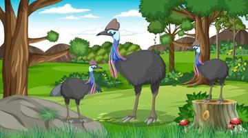 Cassowaries family in forest or tropical forest at daytime scene vector