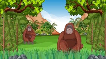 orangután en el bosque o la escena de la selva tropical con muchos árboles vector