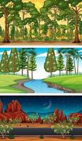 diferentes tipos de escenas horizontales del bosque. vector