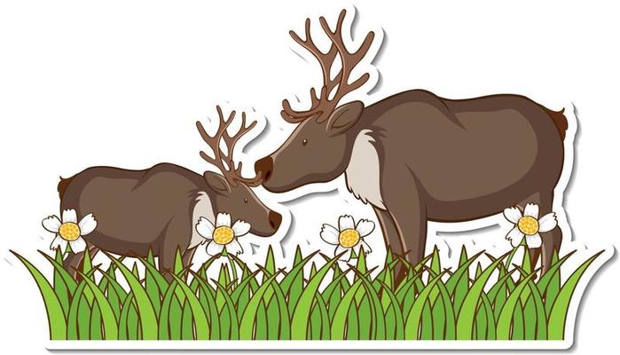 Two moose standing in grass field sticker