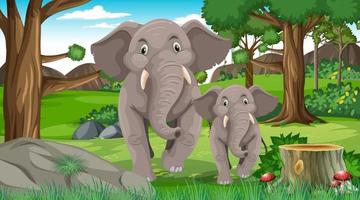 Mamá elefante y bebé en el bosque o la escena de la selva tropical con muchos árboles vector