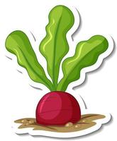 Sticker template with beetroot in underground isolated vector