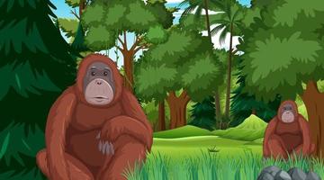 orangután en el bosque o la escena de la selva tropical con muchos árboles vector