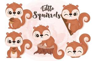 Cute little squirrels collection in watercolor vector