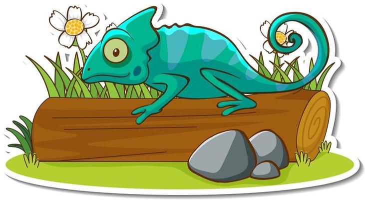 Chameleon lizard standing on a log sticker