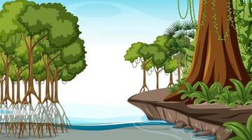 Nature scene with Mangrove forest at daytime in cartoon style vector
