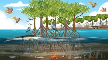 Mangrove forest landscape scene at daytime with many different animals vector