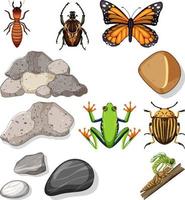 diferentes tipos de insectos con elementos de la naturaleza. vector