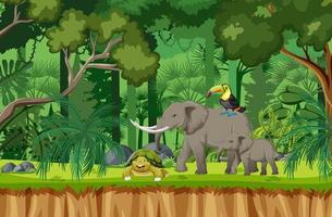 Tropical rainforest scene with various wild animals vector