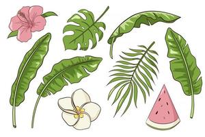 Hand Drawn Exotic Flowers and Leaves Vector Isolated Elements Collection