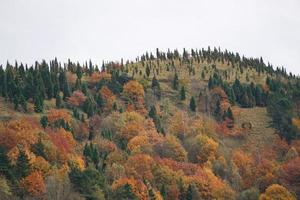 Mountain landscape in Bilbao Spain photo