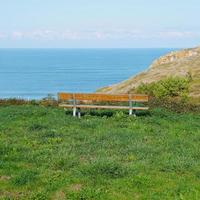 Empty wooden bench on the street photo