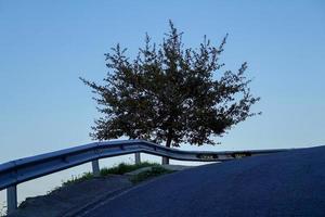 Road with vegetation in the mountain photo