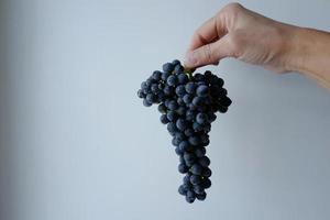 A hand and a bunch of grapes photo