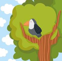 toucan on branch tree vector