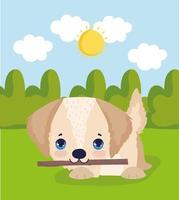 little dog with stick vector