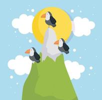 cute toucans and mountain vector