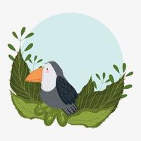 cute toucan with leaves vector