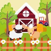 farm sheep and goat vector