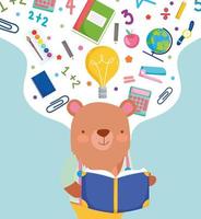 cute bear reading book vector