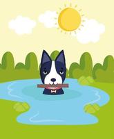 dog in water with stick vector
