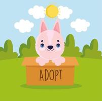 adoption dog inside box vector