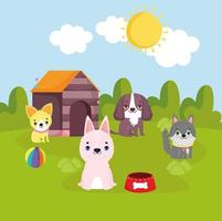 pets dogs with toys vector