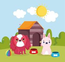 pets food and house vector