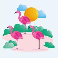 flamingo birds tropical vector