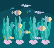 underwater fishes algae vector