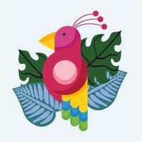 tropical bird foliage vector