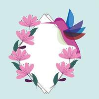 hummingbird flower fauna vector