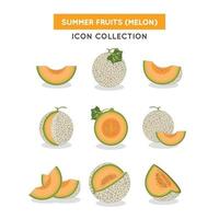 colección de iconos de melón vector