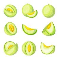 Melon Fruits Icon Collection vector