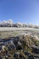 Beautiful fairytale snowy winter Countryside in Central Bohemia, Czech Republic photo