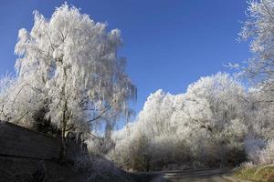 Beautiful fairytale snowy winter Countryside in Central Bohemia, Czech Republic photo