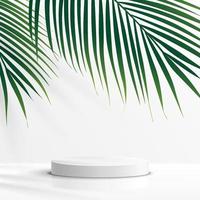 Modern white cylinder pedestal podium with green palm, coconut leaf. Platform in shadow. Abstract white and gray minimal wall scene. Vector rendering 3d shape cosmetic product display presentation.