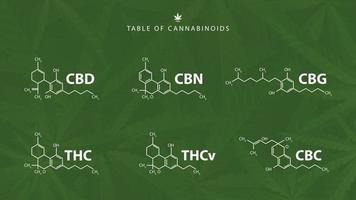 Fórmulas químicas de cannabinoides naturales sobre fondo verde con hojas de cannabis. vector