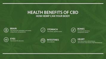 Green template with infographic of health benefits of CBD from cannabis, hemp, marijuana vector