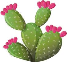 Cactus espinoso en estilo de dibujos animados aislado sobre fondo blanco. vector