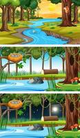 Set of forest horizontal scenes in different times vector