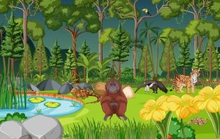 Forest scene with different wild animals vector