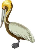 Brown Pelican in cartoon style on white background vector