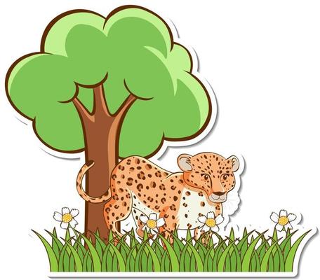 Leopard standing in grass field sticker