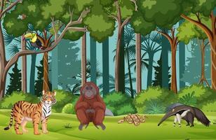 Escena de la selva tropical con varios animales salvajes. vector