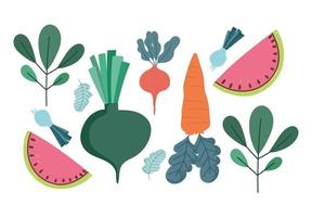 comida naturaleza dieta fresca zanahoria cebolla rábano sandía y hojas vector