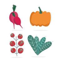 alimentos, calabaza, tomates, rábano, y, lechuga, naturaleza, iconos vector